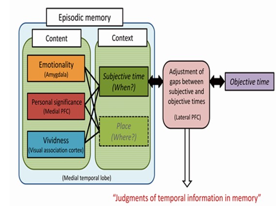 Neural mechanisms underlying the processing of subjective time in memory and its disturbance